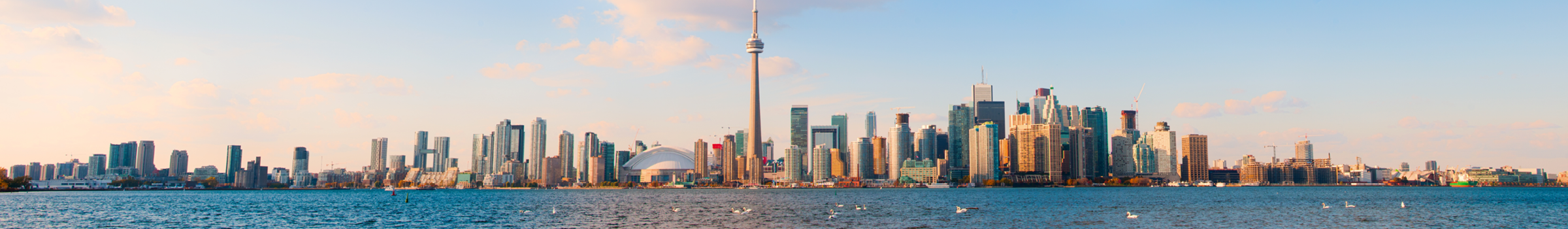 Toronto Skyline